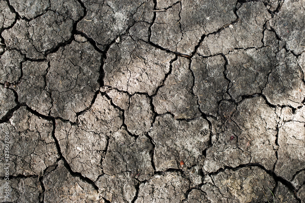 Drought land background. Close up of dry cracked earth Drought land background. Close up of dry cracked earth