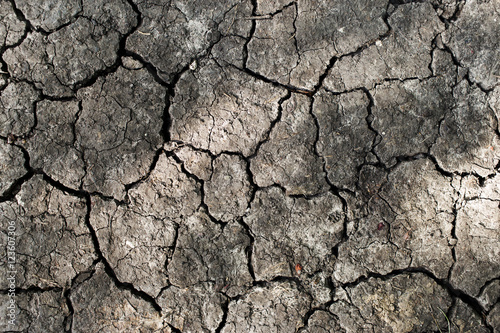 Drought land background. Close up of dry cracked earth