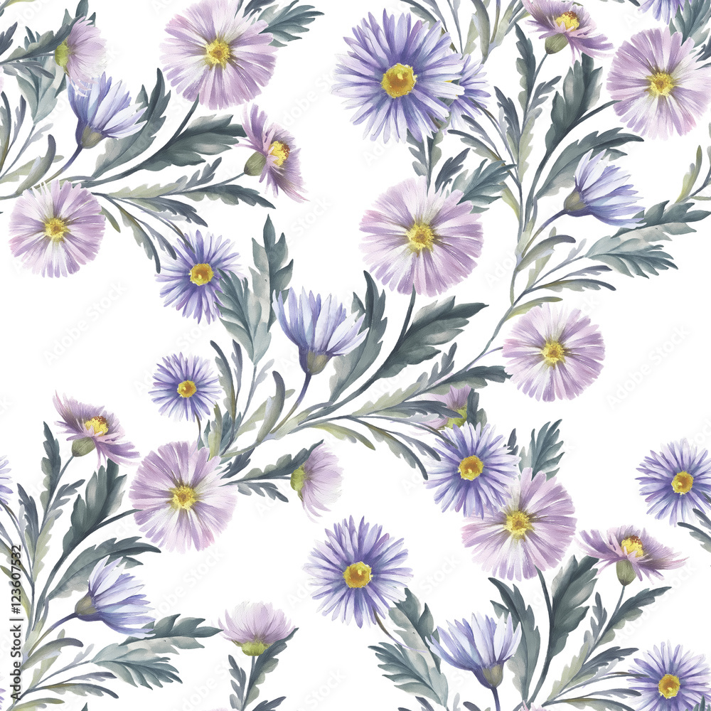 Seamless pattern with asters. Hand draw watercolor illustration.