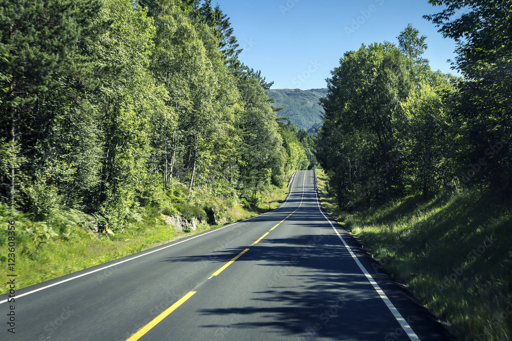 Fototapeta premium The road of life