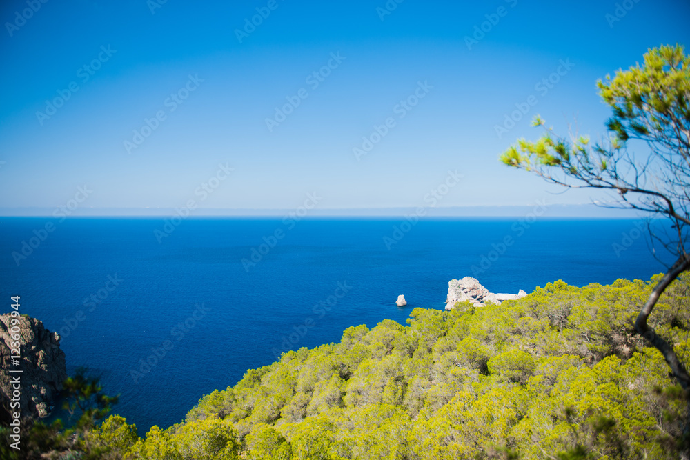 Naklejka premium View from a cliff