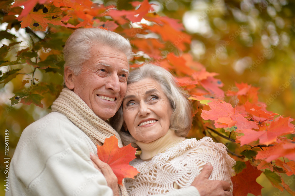 Beautiful happy middle-aged couple in the autumn park Beautiful happy middle-aged couple in the autumn park