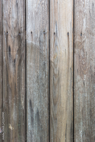 Wallpaper Mural The old wood texture with natural patterns Torontodigital.ca