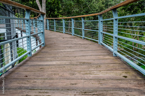 Footbridge in the park