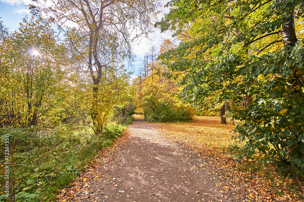 autumn Park autumn Park