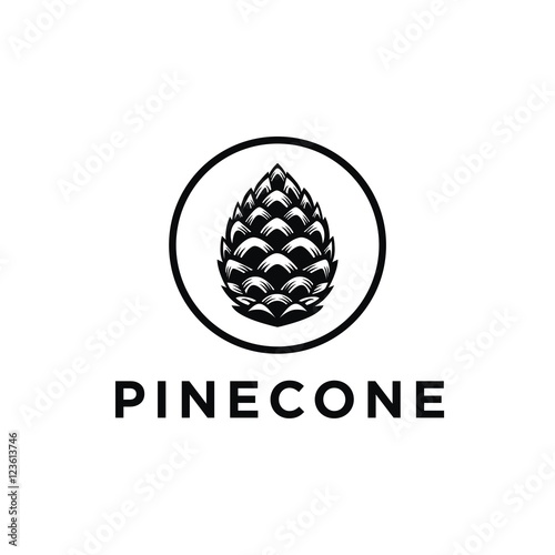 Pinecone logo vector photo