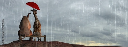 Photography Elephant and Giraffe  on a mountain top sit on a bench in the rain