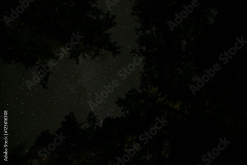 Long exposure of the stars lake and trees