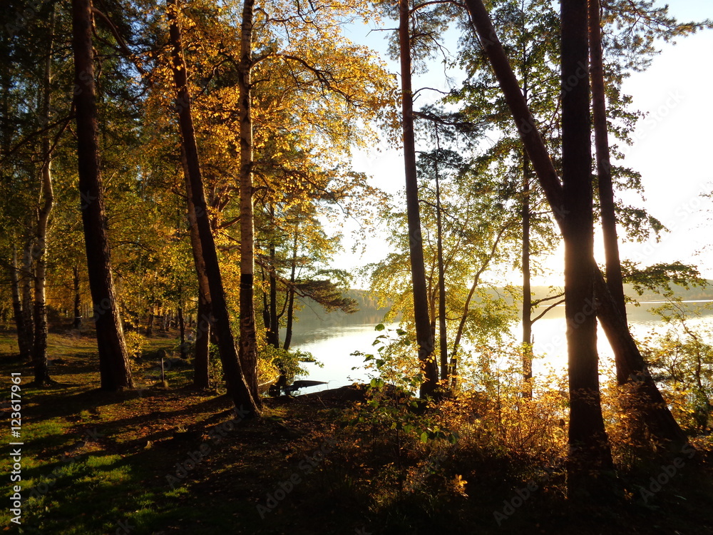 Obraz premium Закат на озере