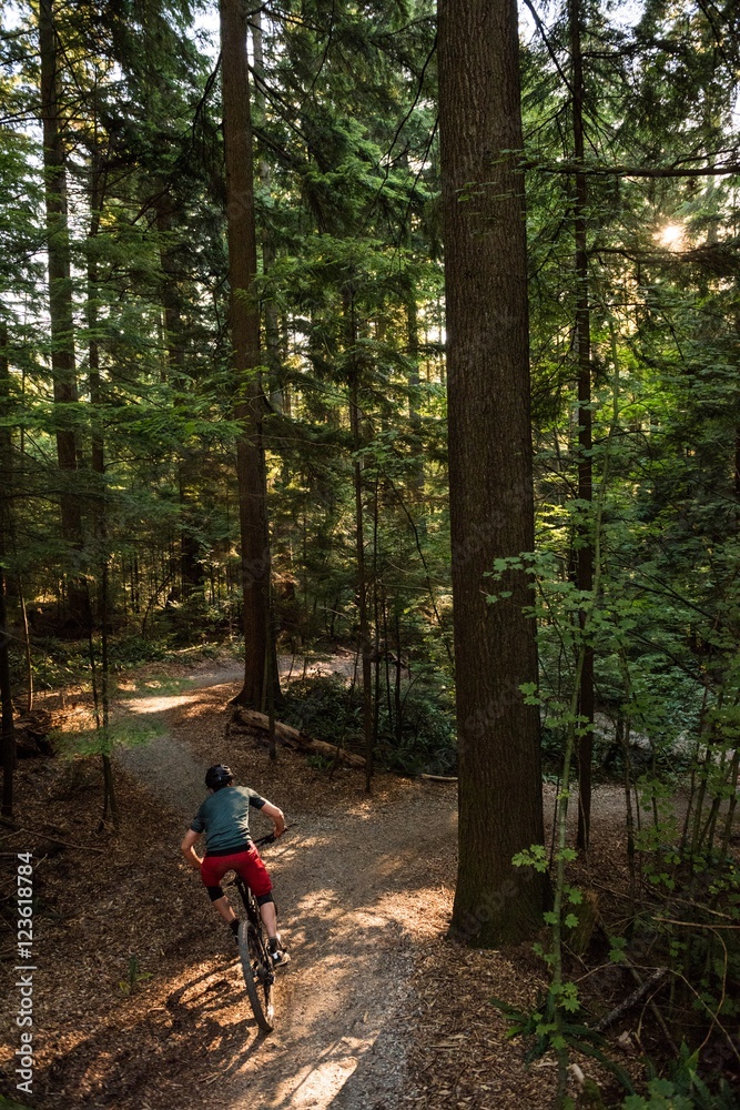 Male cyclist cycling in forest on a sunny day Male cyclist cycling in forest on a sunny day