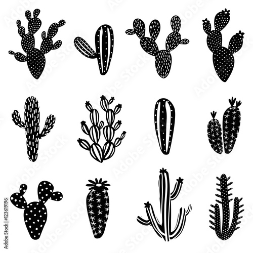 cactus silhouette illustration set photo
