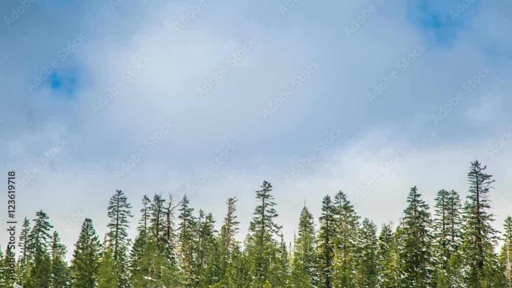 Time Lapse - Beautiful Clouds Moving Over Pine Trees Time Lapse - Beautiful Clouds Moving Over Pine Trees