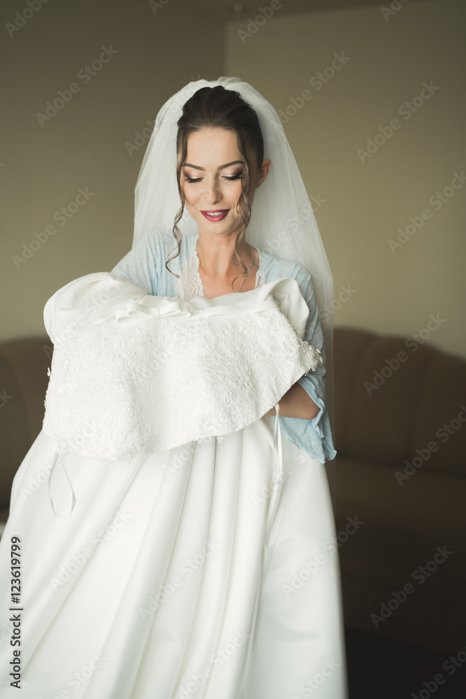 Luxury bride on the morning of wedding day Luxury bride on the morning of wedding day