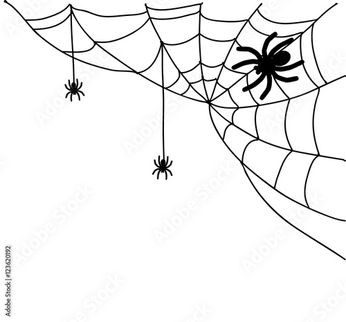 Spiderweb illustration vector