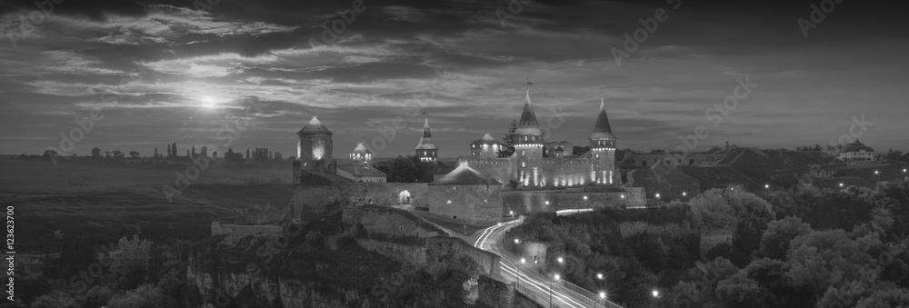 Obraz premium Beautiful fairy ancient castle. Monochrome colors