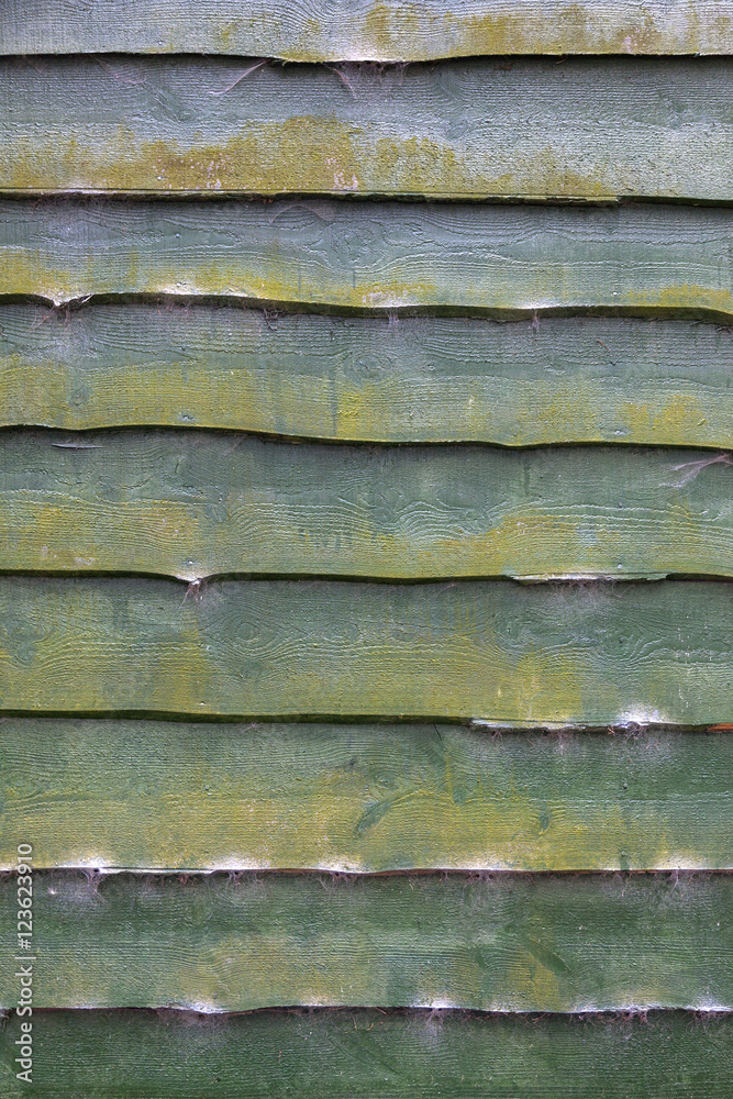 pattern of old green planks of shed with moss