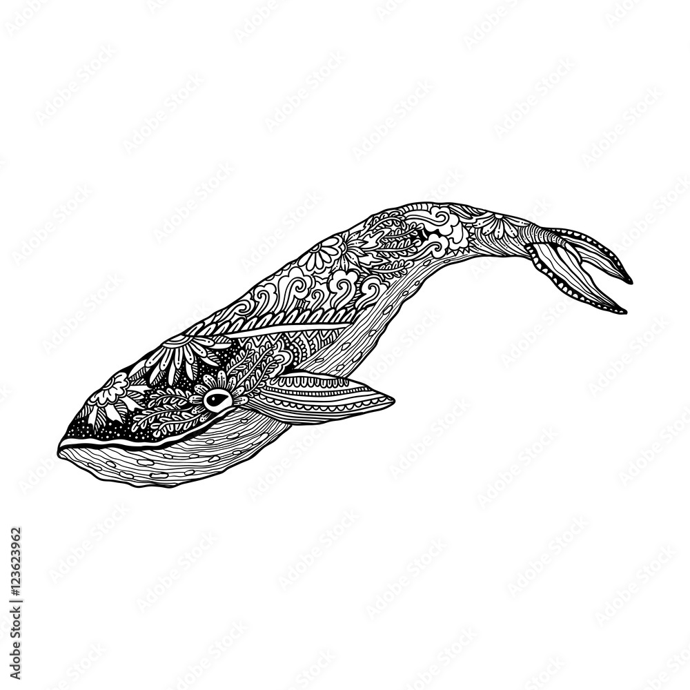 Naklejka premium Whale, Vector zentangle print, adult coloring page. Hand drawn artistically , ornamental patterned illustration. Sea Animal collection. Sketch, tattoo, posters, t-shirt design.
