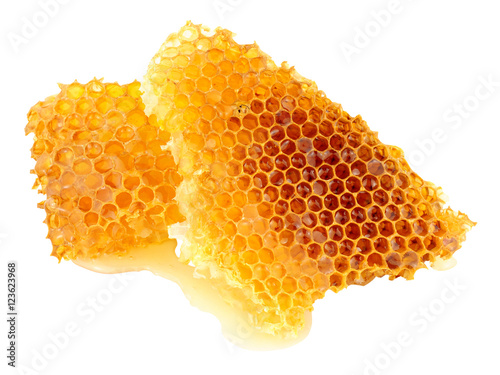 Honey Bee Wax Honeycomb