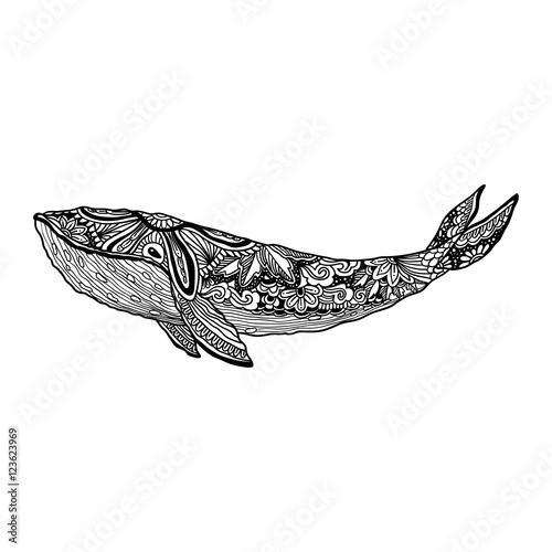 Whale, Vector zentangle  print, adult coloring page. Hand drawn artistically , ornamental patterned  illustration. Sea Animal collection.  Sketch, tattoo, posters, t-shirt design.