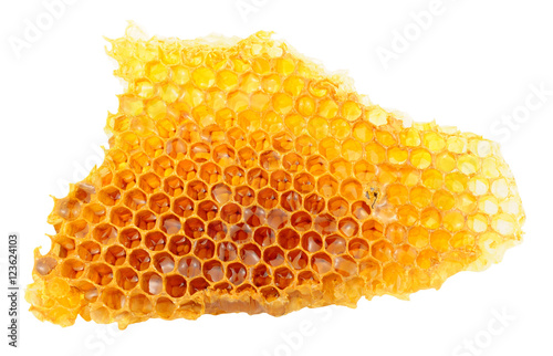 Honey Bee Wax Honeycomb photo