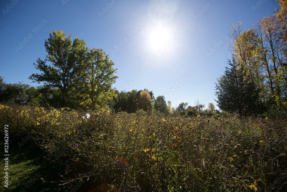 A beautiful Autumn day in Canada at the cottage