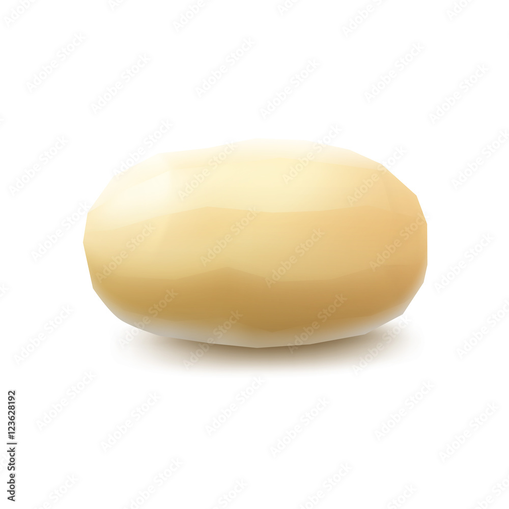 Vector New Yellow Raw Whole Peeled Potato Close up Isolated on Background Vector New Yellow Raw Whole Peeled Potato Close up Isolated on Background