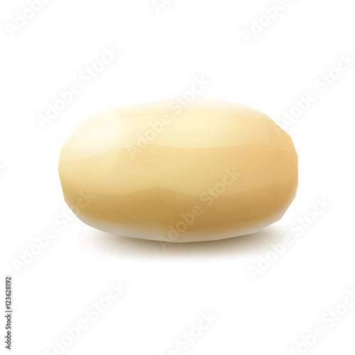 Vector New Yellow Raw Whole Peeled Potato Close up Isolated on Background
