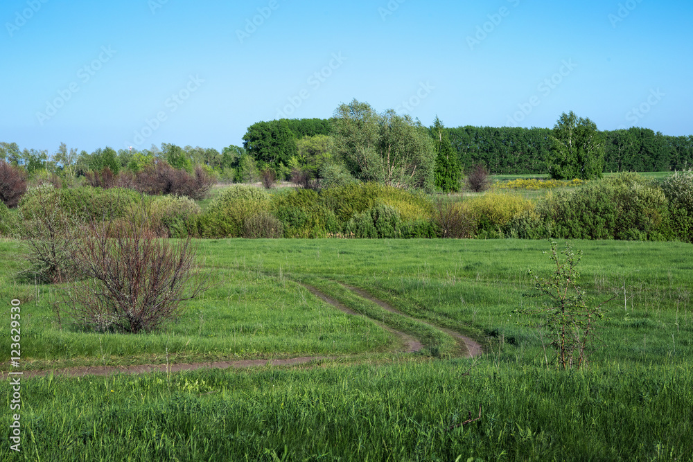 Rural road in the field