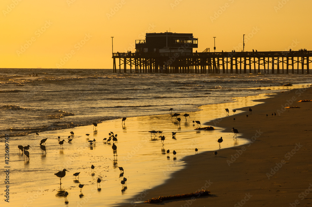 Fototapeta premium Newport beach pier sunset silhouette