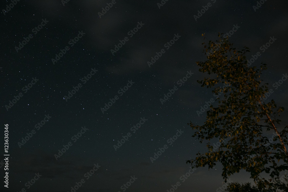 long exposure stars trees lake and sky 