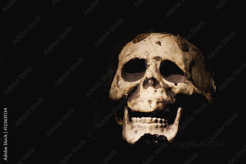 Fototapeta premium Skull Halloween In dark tone.