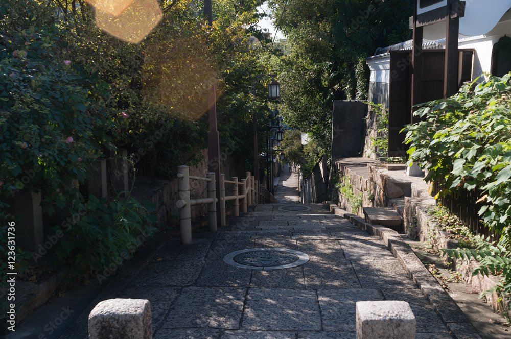 Obraz premium 石畳の坂道