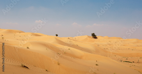 Arabian desert in Dubai