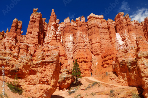 Scenic view of stunning red sandstone hoodoos in Bryce Canyon National Park