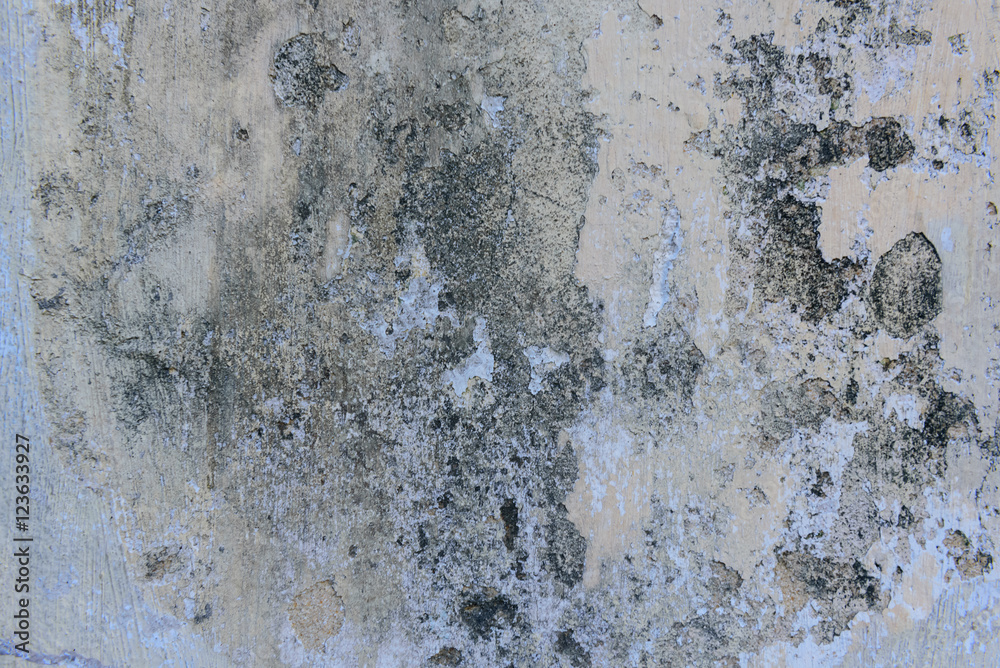 Texture of a cement wall