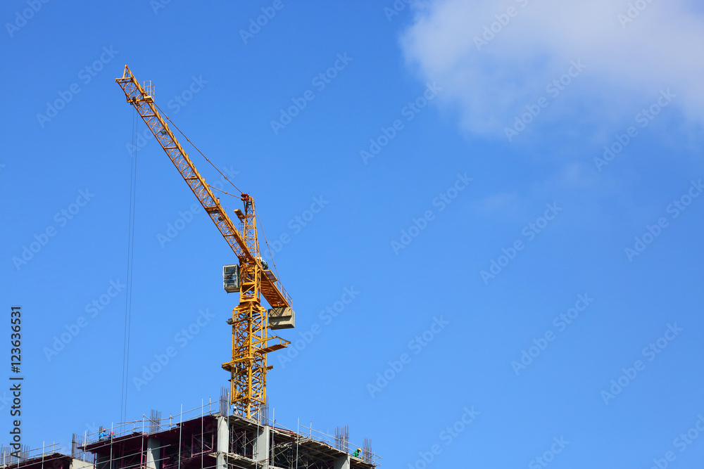 machinery crane working in construction site
