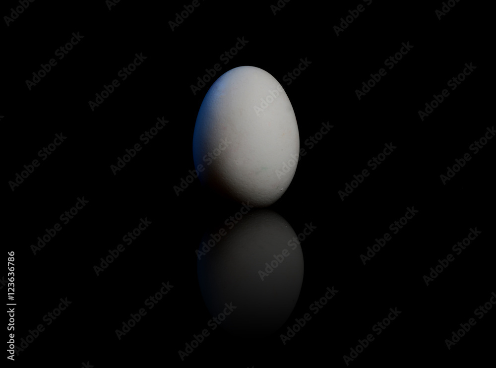 Fresh Egg Isolated on Black Background with Blue spot light Fresh Egg Isolated on Black Background with Blue spot light