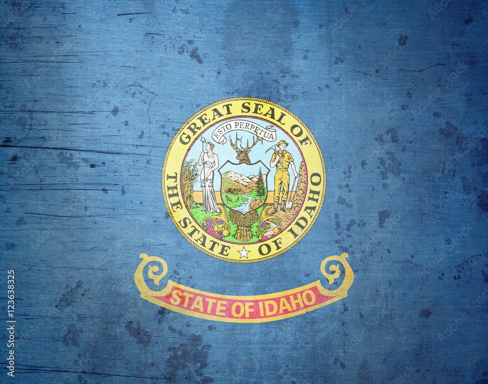A grunge illustration of the state flag of Idaho