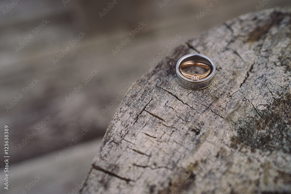 Wedding rings on old wooden stump Wedding rings on old wooden stump