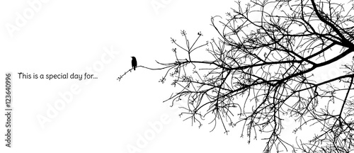 Lonely bird stands on a branch of a naked tree silhouette in black and white vector format with a caption