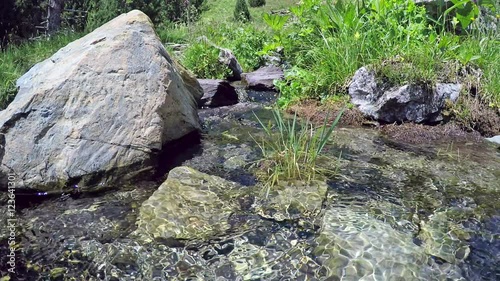 Loop with stream in the mountains. Grass and flowers on the bank of the brook. FHD video photo