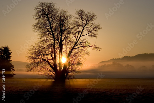 Satsop Sunrise