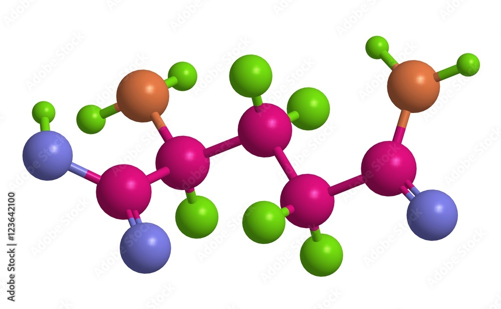 Molecular structure of L - glutamine Molecular structure of L - glutamine
