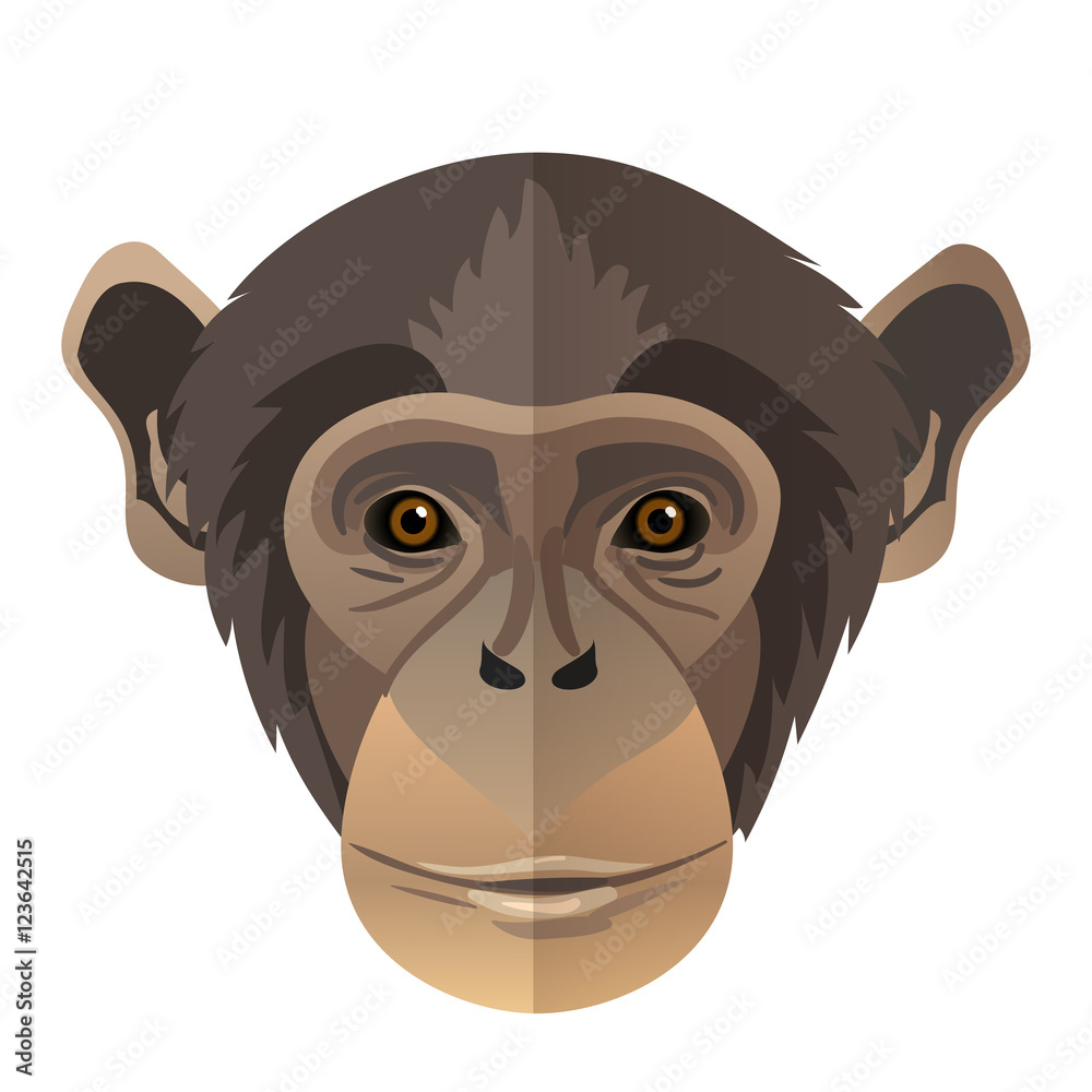 Naklejka premium Portret małpy twarz wektor ładny szympans