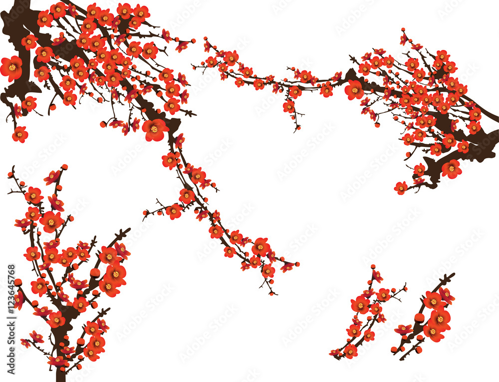 Red spring flowers blooming on tree vector illustration white background Stock Vector | Adobe Stock