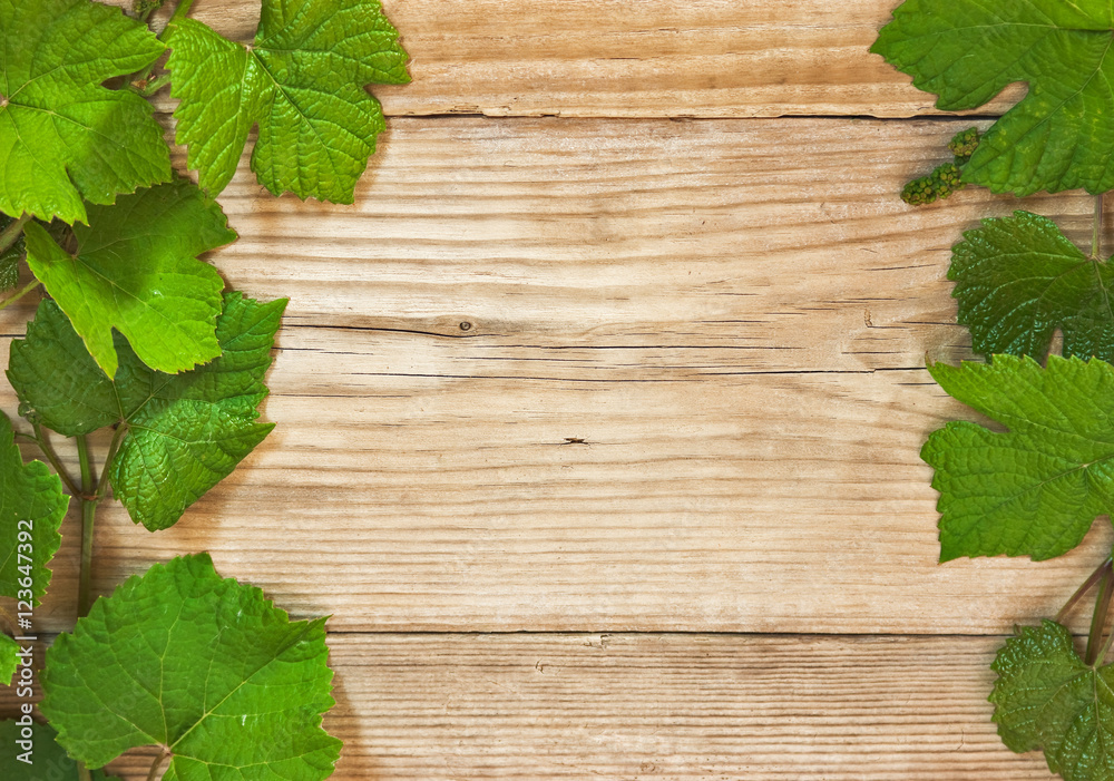 grapevine on a wooden background grapevine on a wooden background