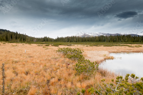 Moor Landschaft im Herbst