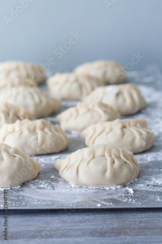 Hand shaped Chinese  dumplings on a flour dusted tray.Selective focus 