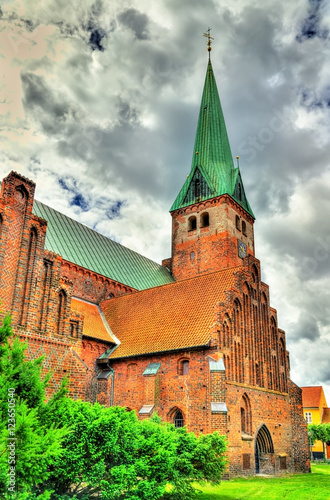 Saint Olaf cathedral in the old town of Helsingor - Denmark
