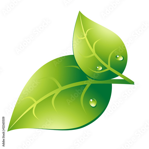 Couple green leaf